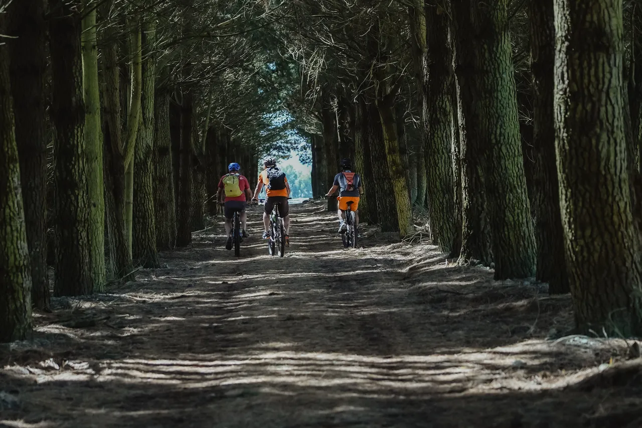 Around The Mountains Cycle Trail - Bixter Rd - Southland, New Zealand - Credit Great South (8)