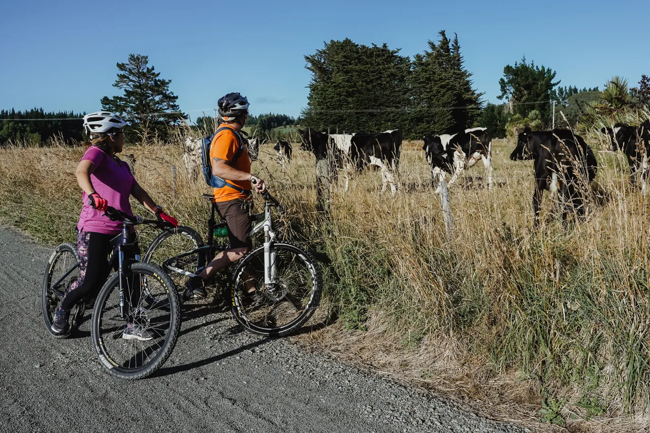 Around The Mountains Cycle Trail - Centre Hill - Southland, New Zealand - Credit Great South (24)
