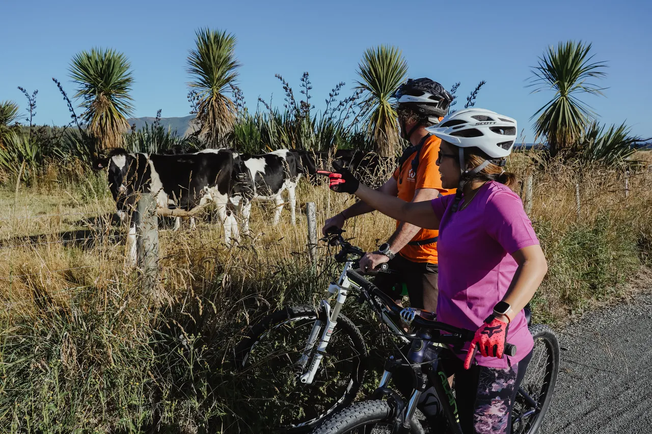 Around The Mountains Cycle Trail - Centre Hill - Southland, New Zealand - Credit Great South (23)