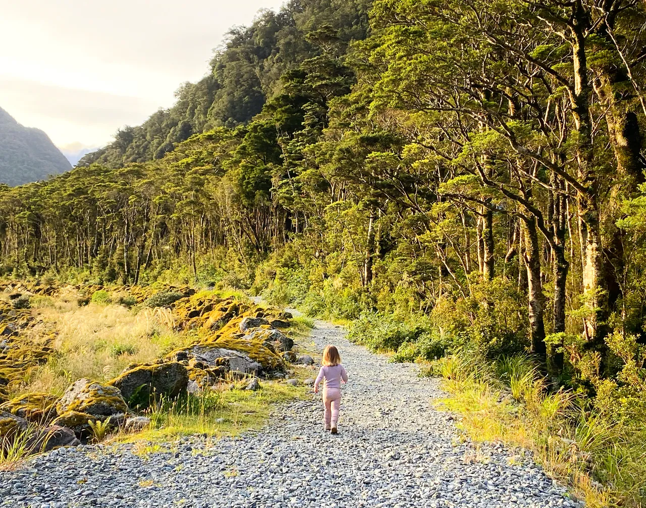 Milford Sound - Southland, New Zealand - Credit Tim Roxborogh (5)