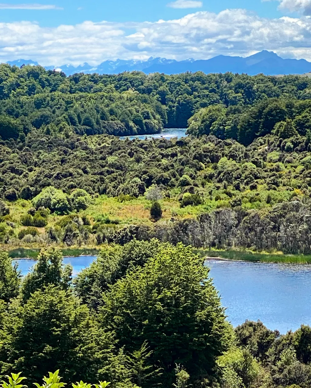 Lake2Lake Trail - Southland, New Zealand - Credit Tim Roxborogh (3)