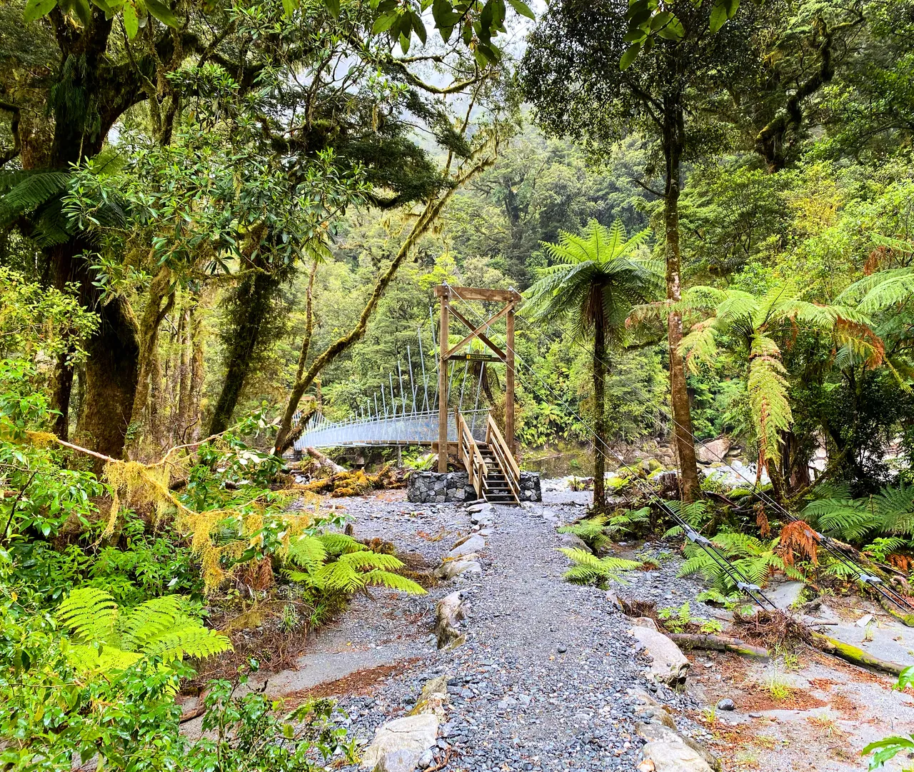 Milford Track - Southland, New Zealand - Credit Tim Roxborogh (3)