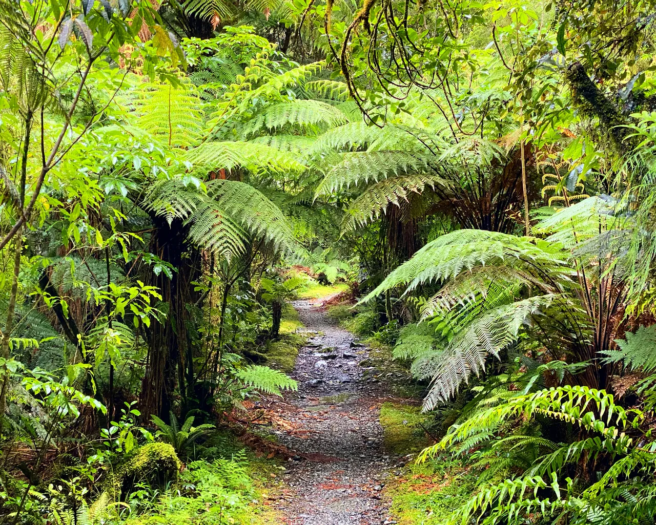 Milford Track - Southland, New Zealand - Credit Tim Roxborogh (2)
