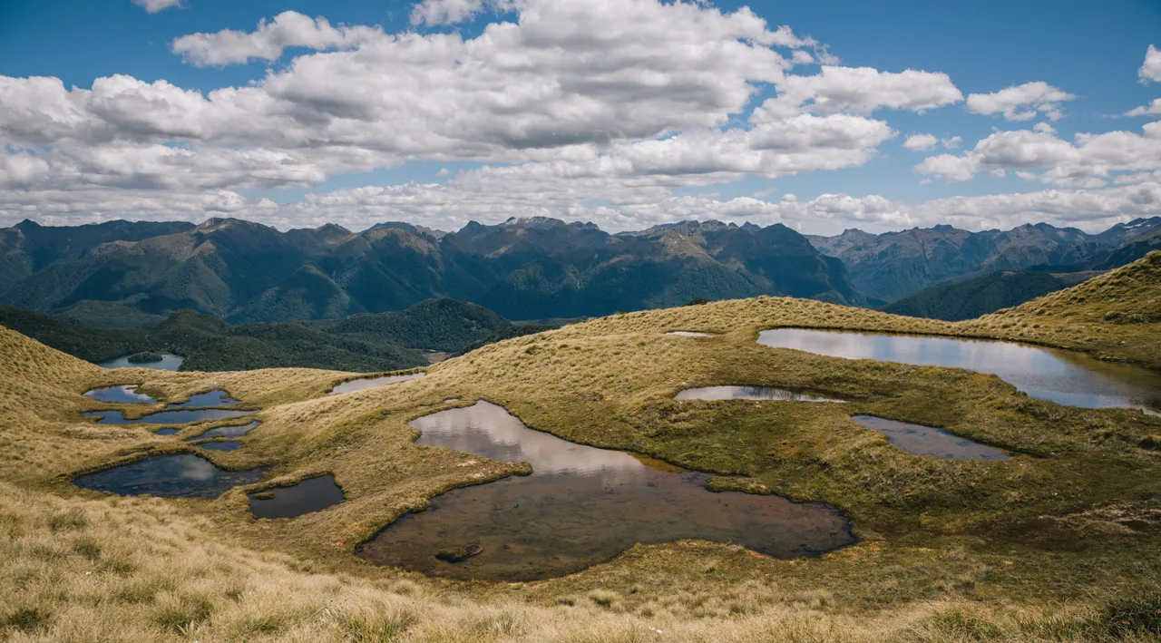Borland Valley - Southland, New Zealand - Credit Liz Carlson (36)