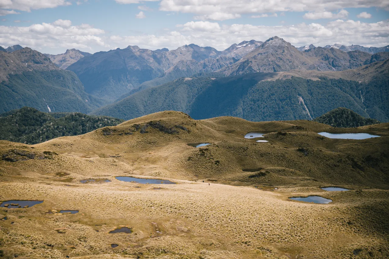 Borland Valley - Southland, New Zealand - Credit Liz Carlson (27)