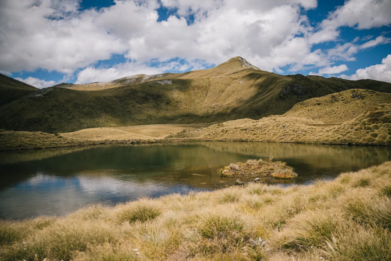 Borland Valley - Southland, New Zealand - Credit Liz Carlson (33)