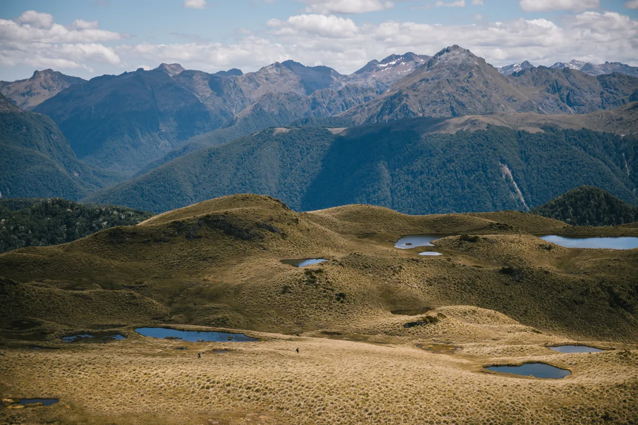 Borland Valley - Southland, New Zealand - Credit Liz Carlson (26)
