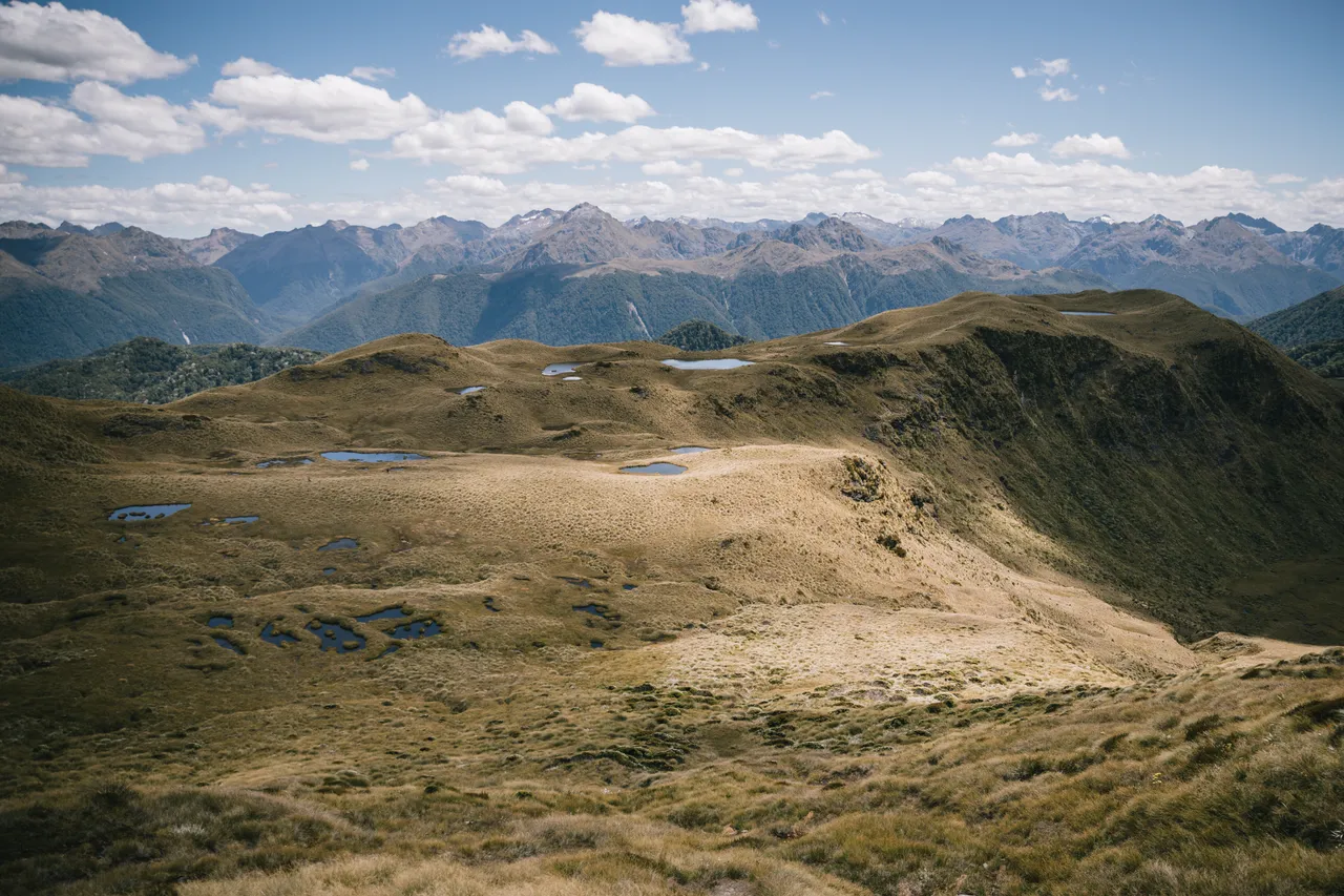 Borland Valley - Southland, New Zealand - Credit Liz Carlson (25)