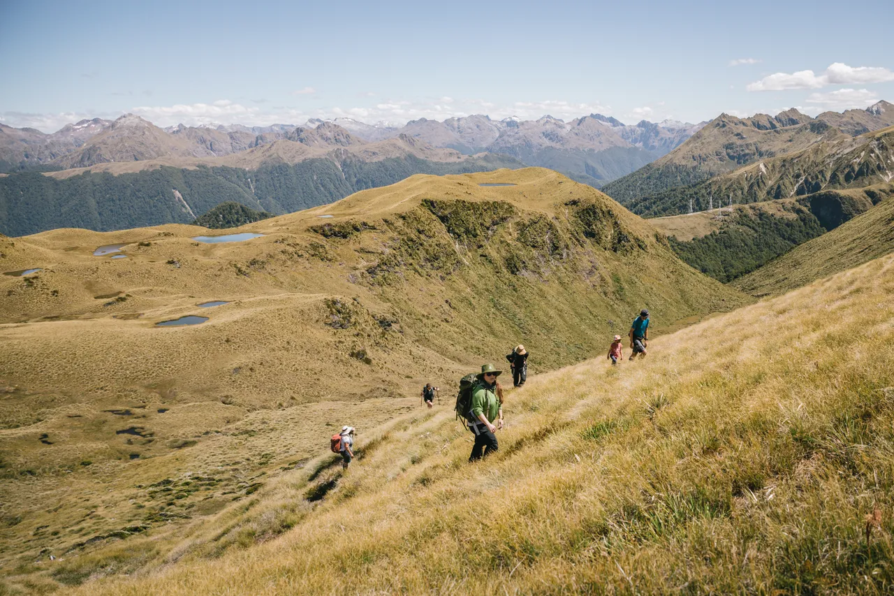 Borland Valley - Southland, New Zealand - Credit Liz Carlson (18)