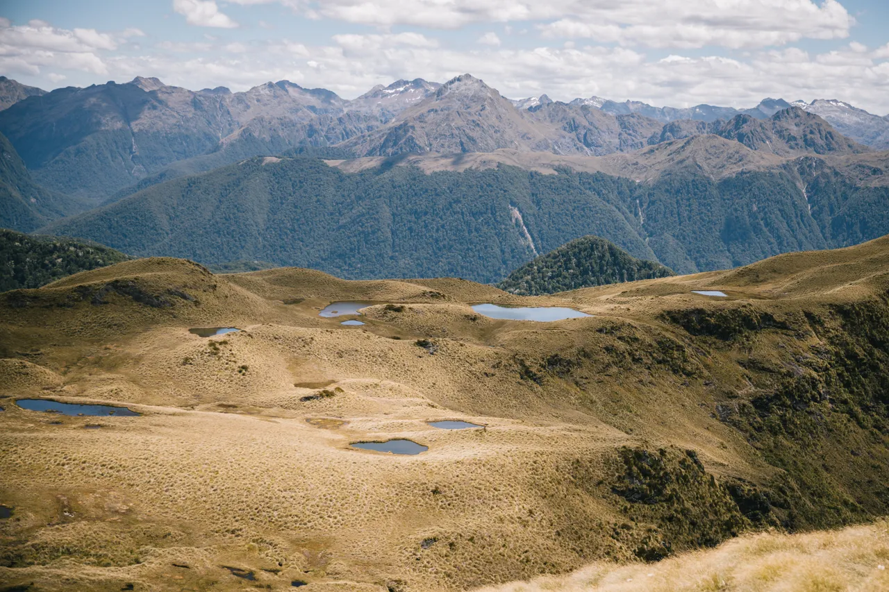 Borland Valley - Southland, New Zealand - Credit Liz Carlson (23)