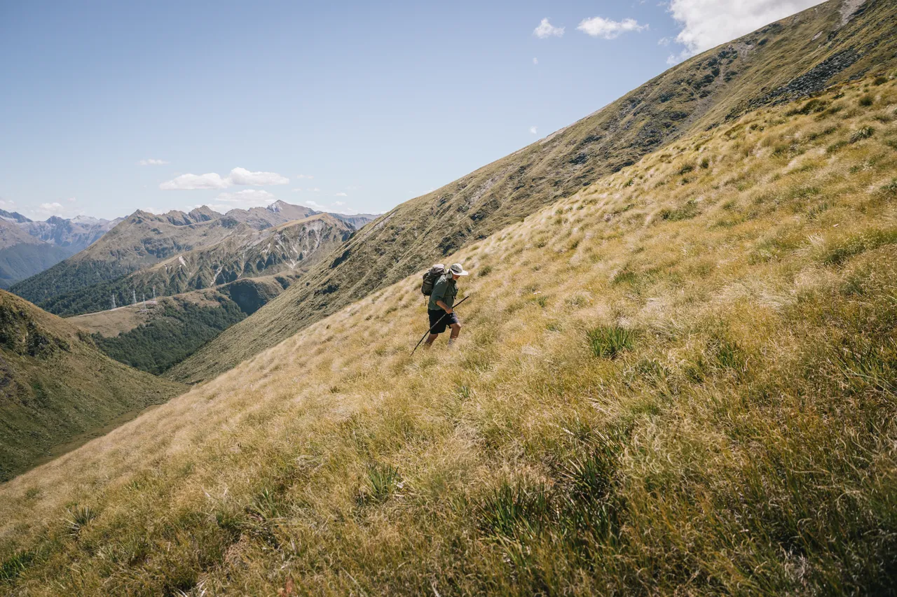 Borland Valley - Southland, New Zealand - Credit Liz Carlson (17)