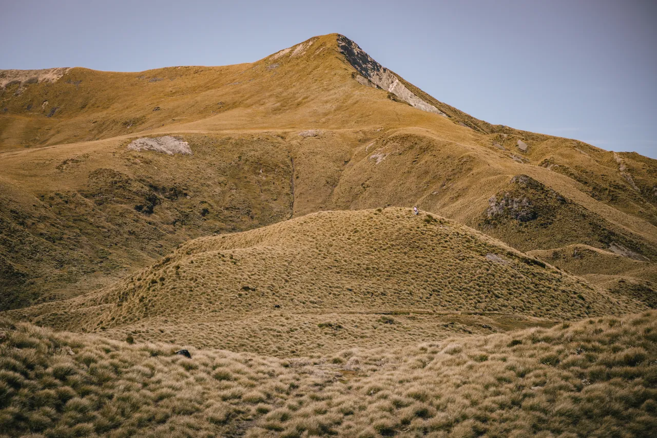 Borland Valley - Southland, New Zealand - Credit Liz Carlson (9)