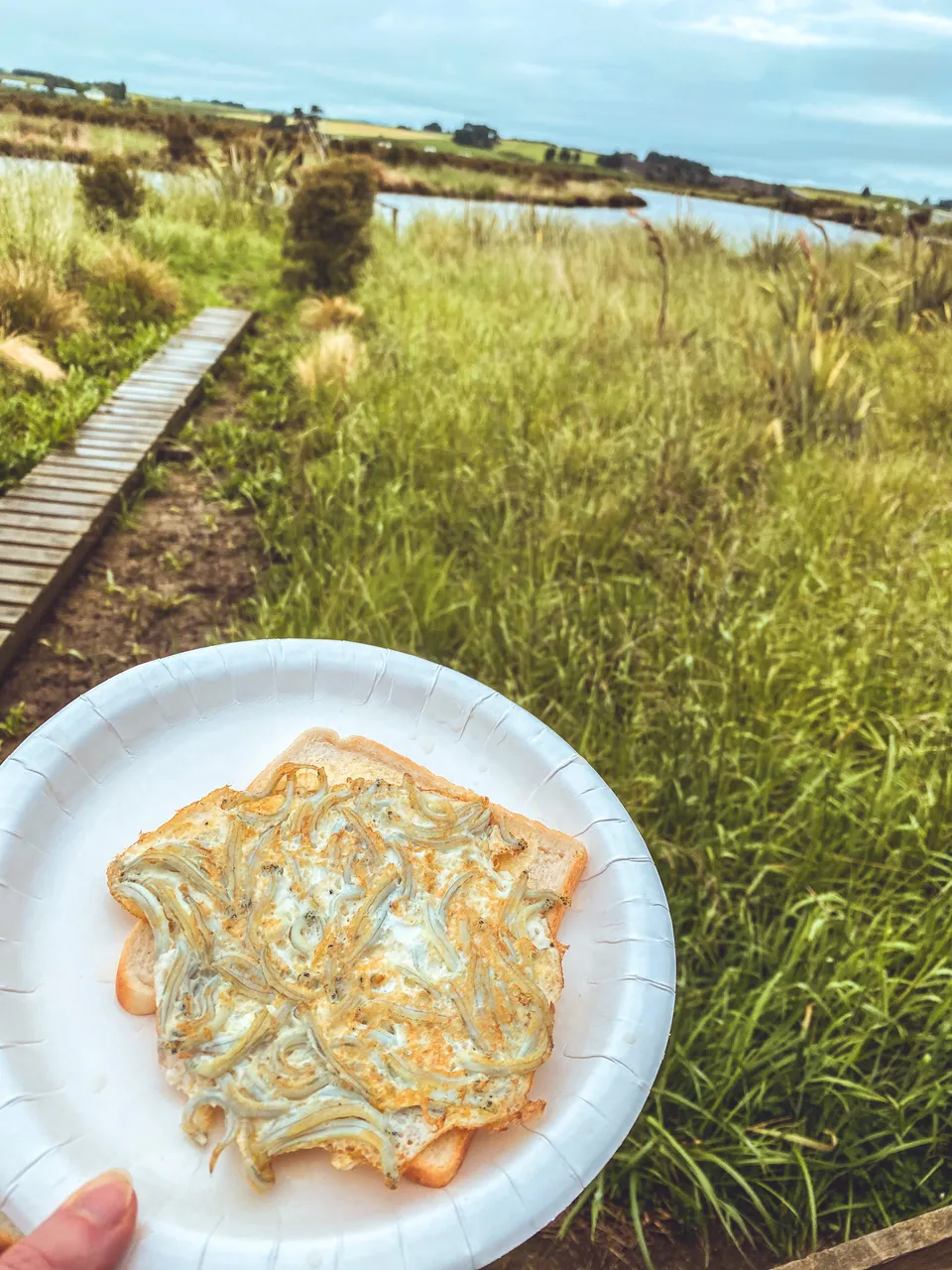 Whitebait - Southland, New Zealand - Credit Great South