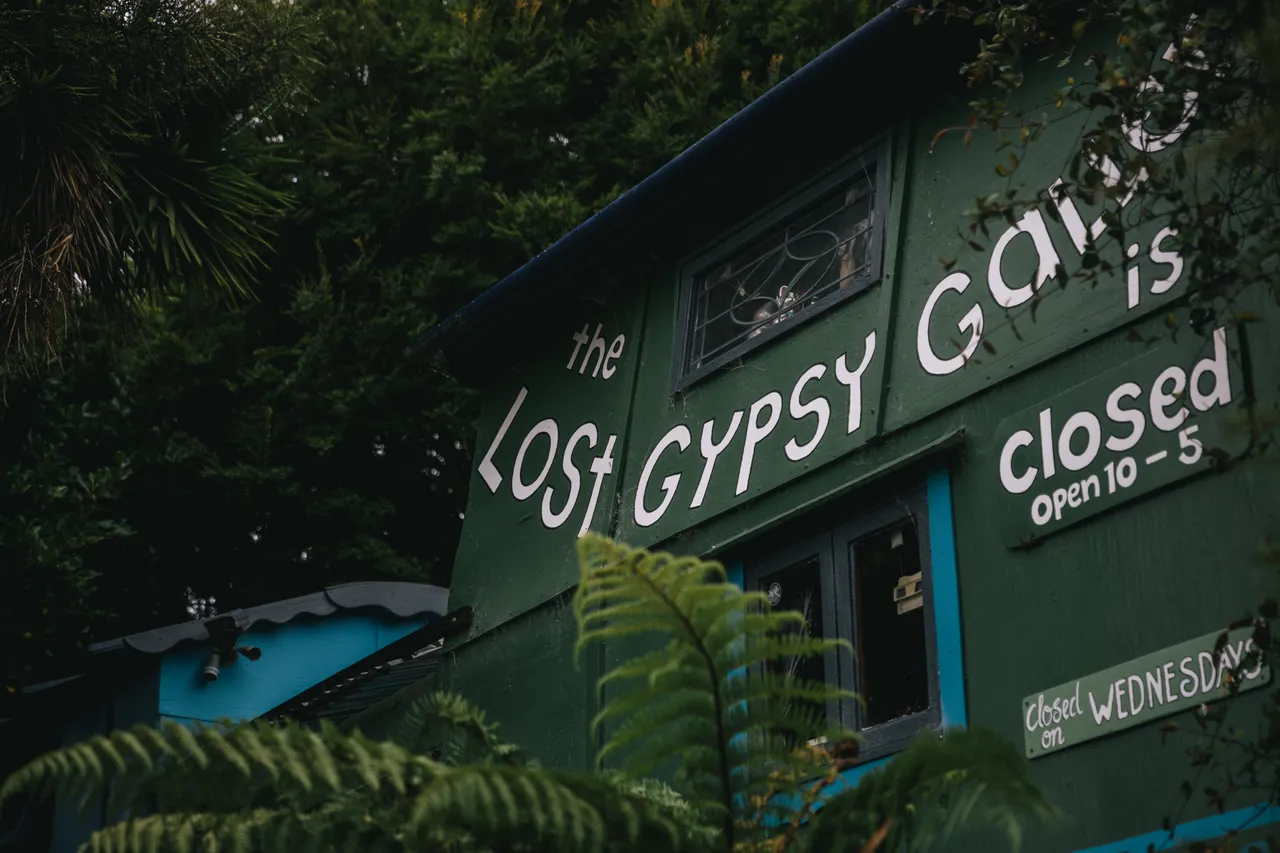 The Lost Gypsy - Southland, New Zealand - Credit Liz Carlson (3)