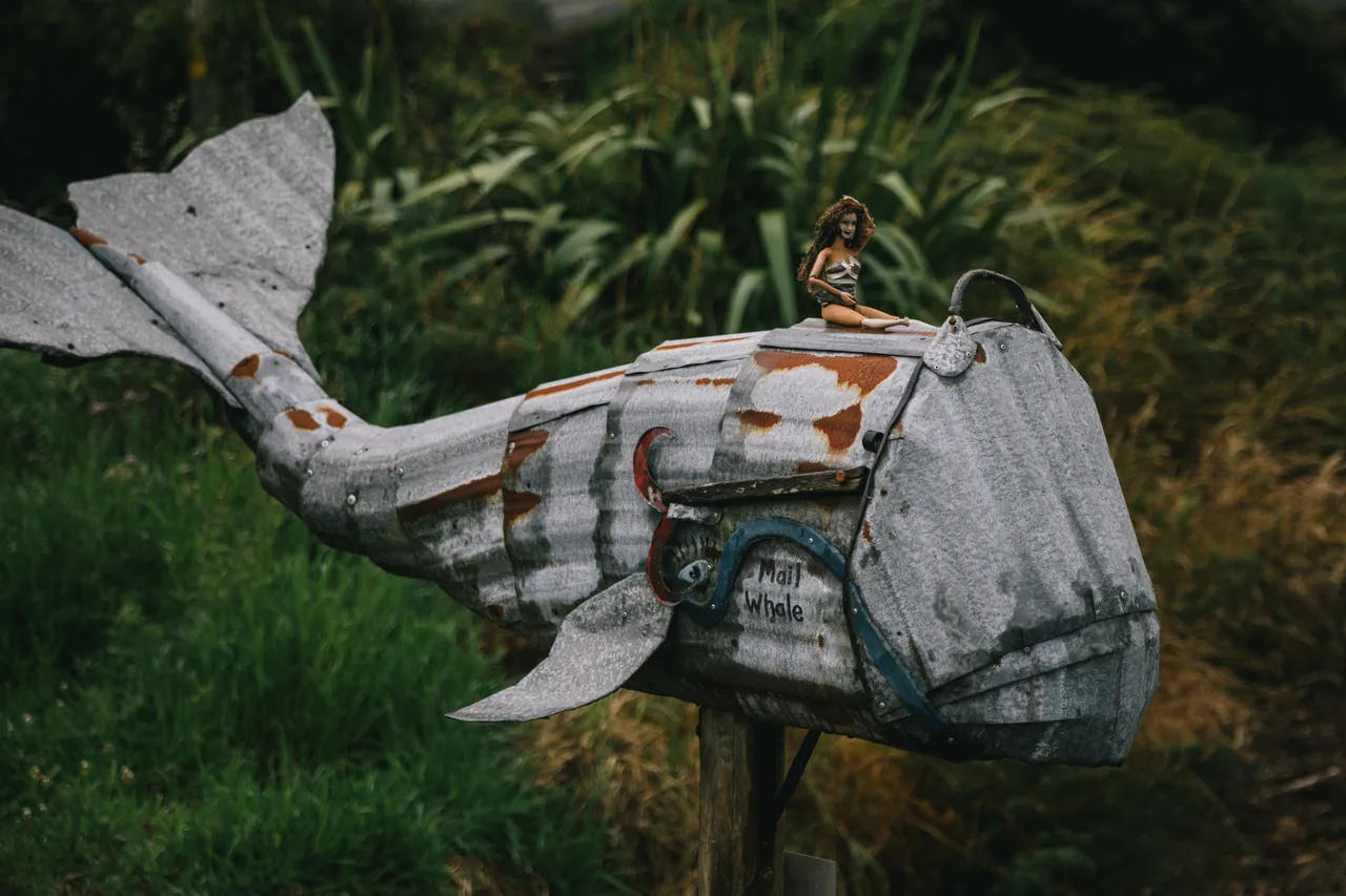 The Lost Gypsy - Southland, New Zealand - Credit Liz Carlson (5)