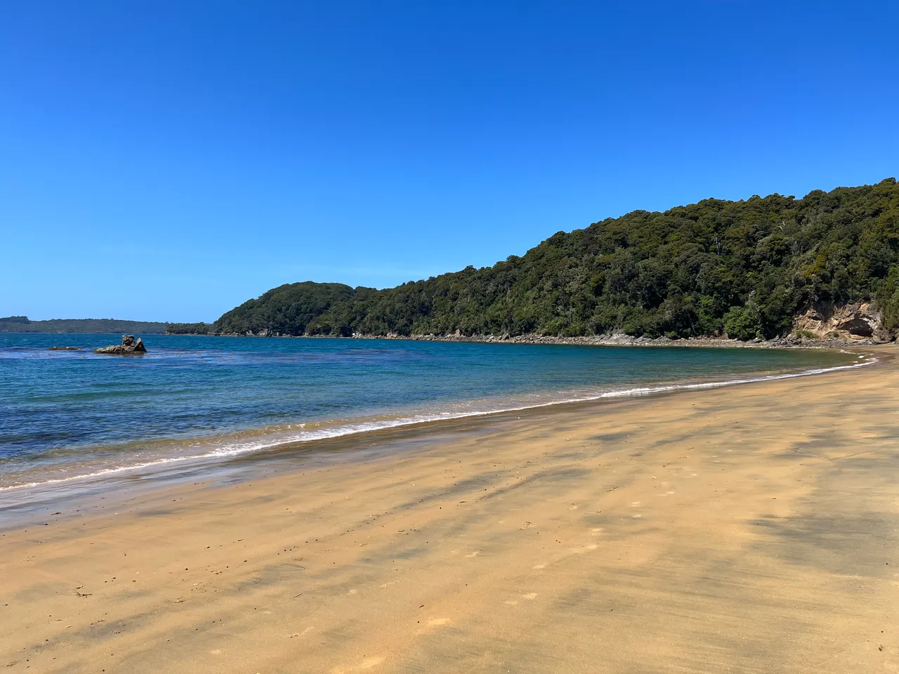 Ulva Island - Southland, New Zealand - Credit Great South (42)