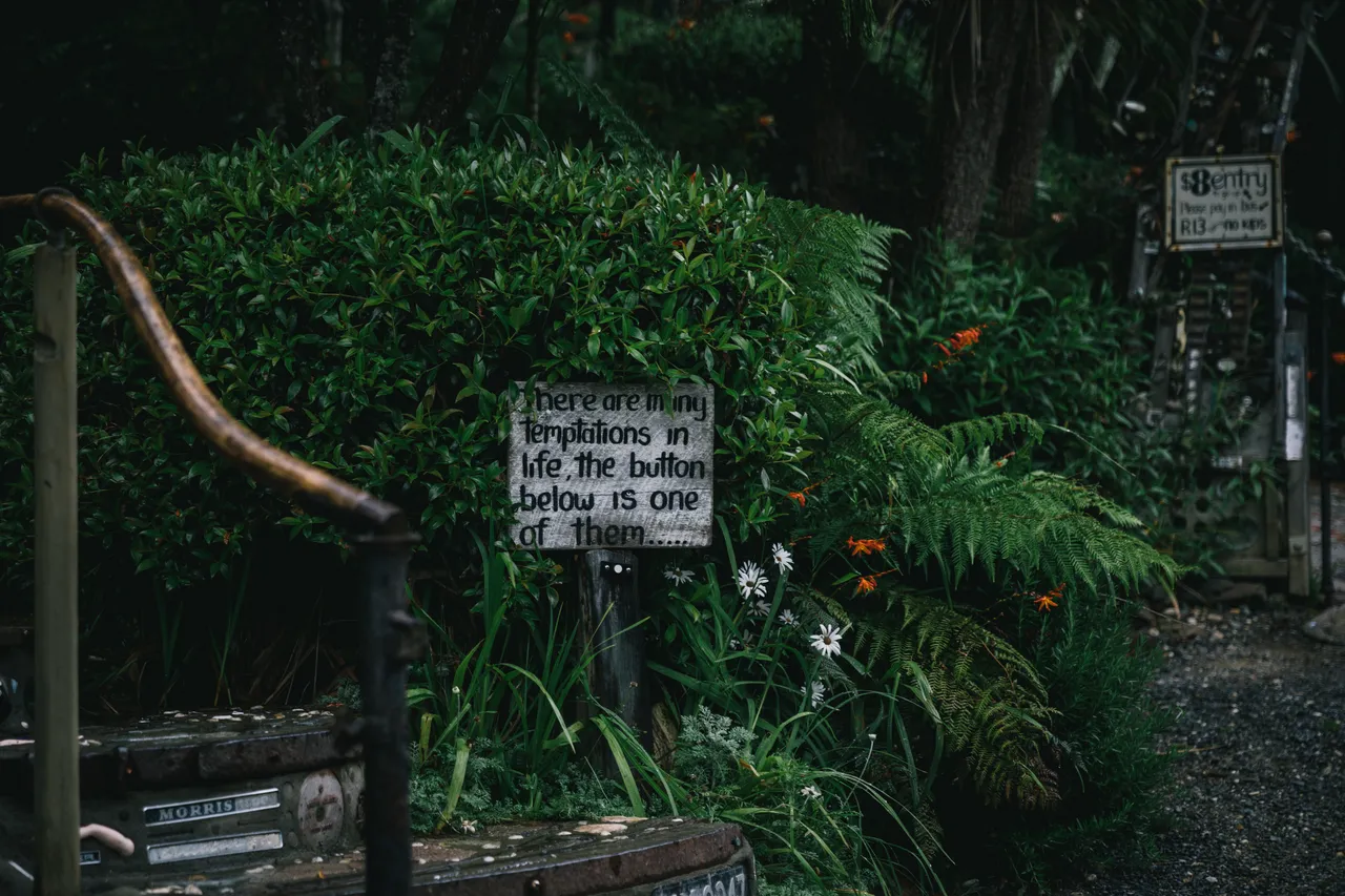 The Lost Gypsy - Southland, New Zealand - Credit Liz Carlson (2)