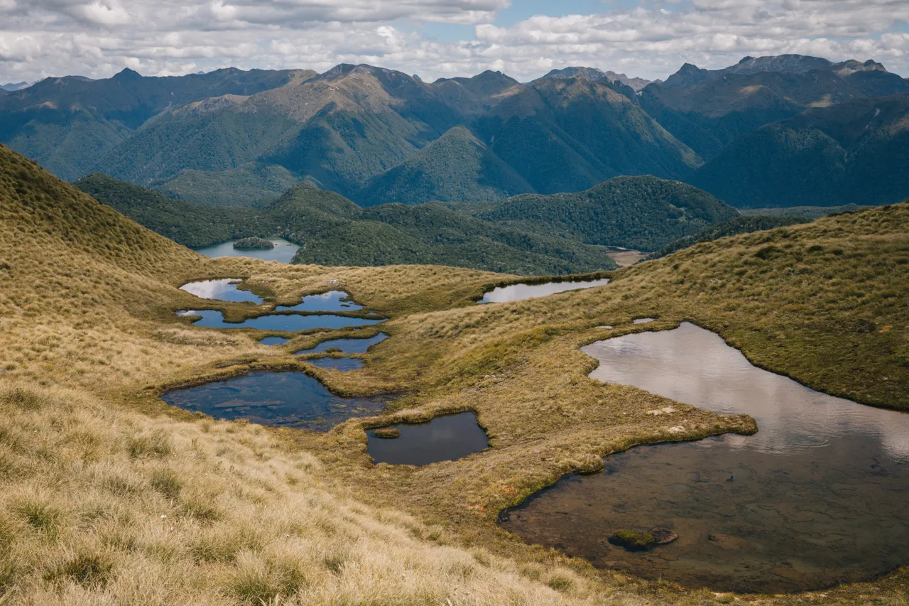 Borland Valley - Southland, New Zealand - Credit Liz Carlson (35)