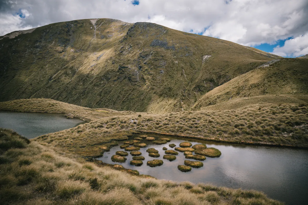 Borland Valley - Southland, New Zealand - Credit Liz Carlson (32)