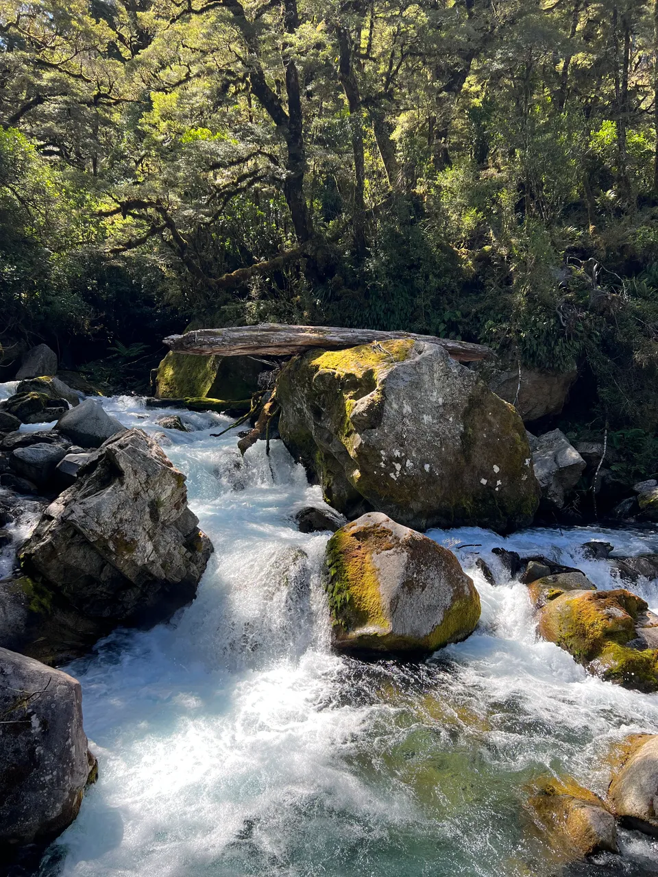 Lake Marian Track - Southland, New Zealand - Credit Great South (2)