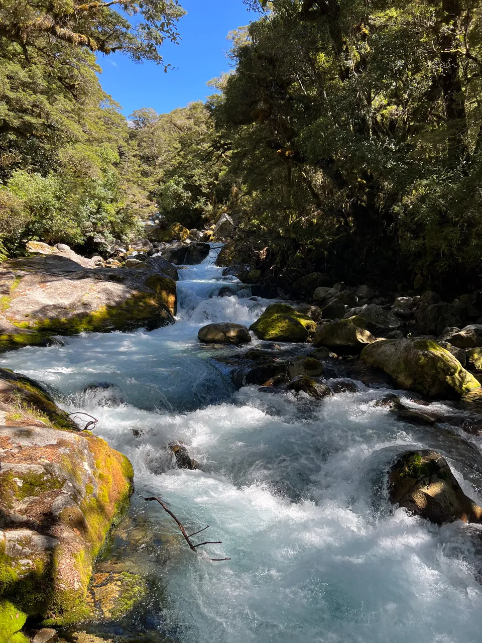 Lake Marian Track - Southland, New Zealand - Credit Great South (1)