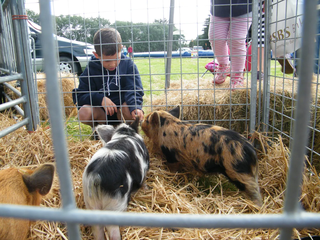 Southland A&P Show - Southland, New Zealand - Credit Great South (12)