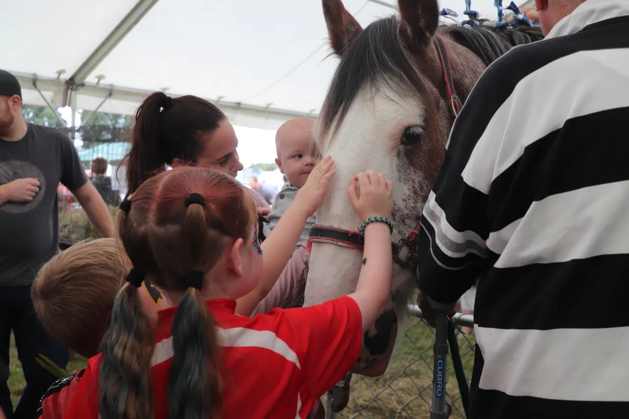 Southland A&P Show - Southland, New Zealand - Credit Great South (13)
