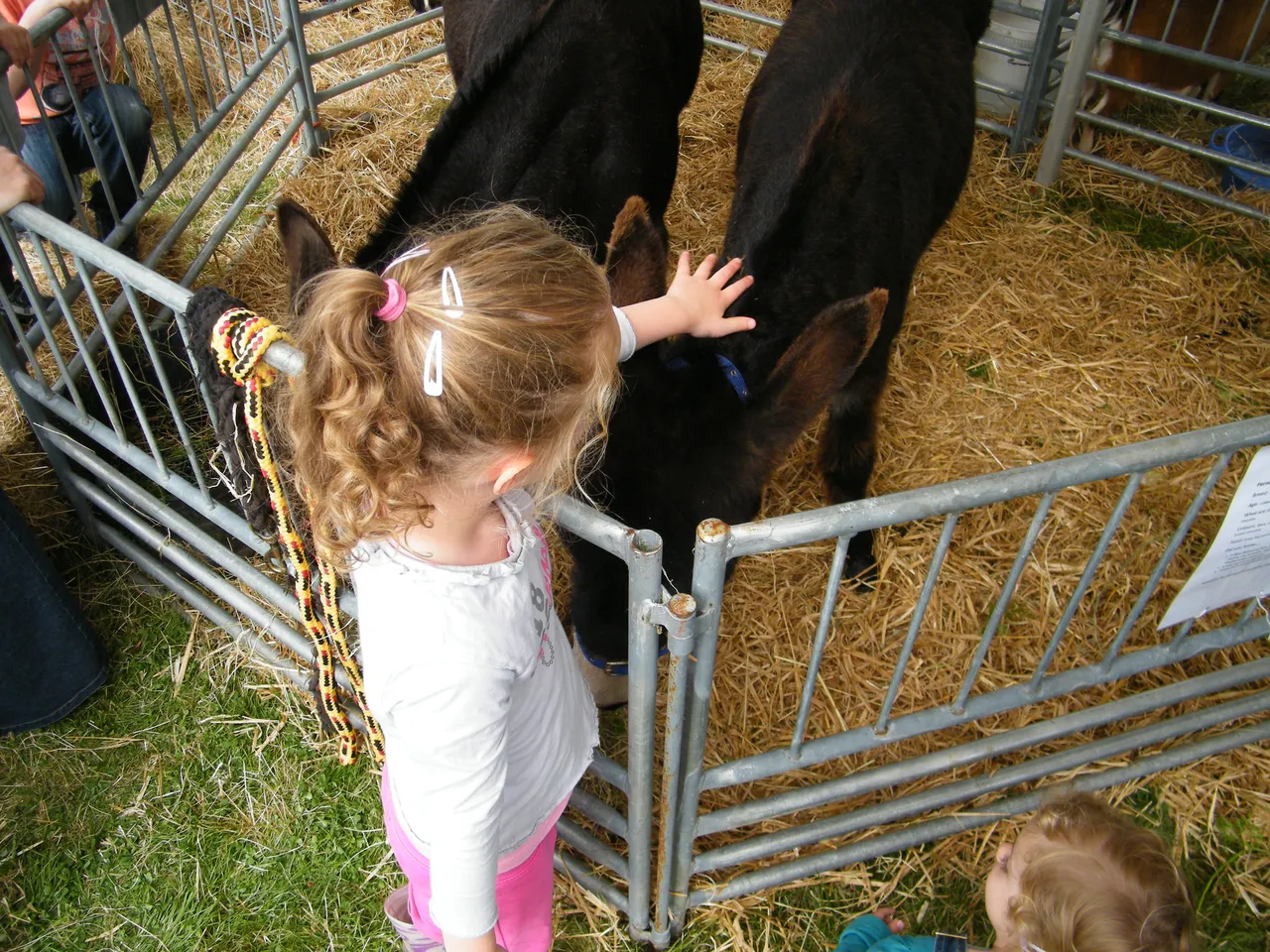 Southland A&P Show - Southland, New Zealand - Credit Great South (11)