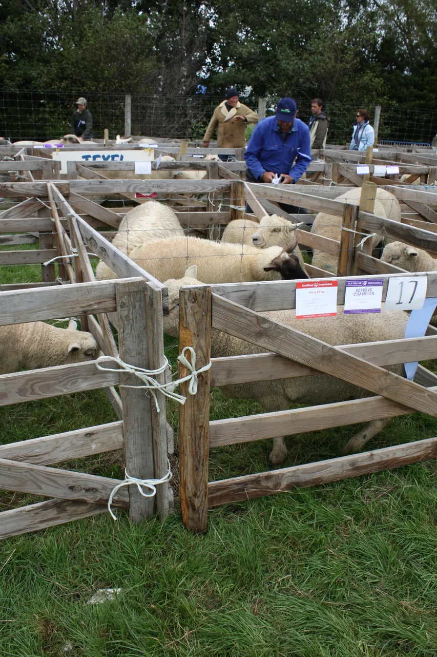 Southland A&P Show - Southland, New Zealand - Credit Great South (9)