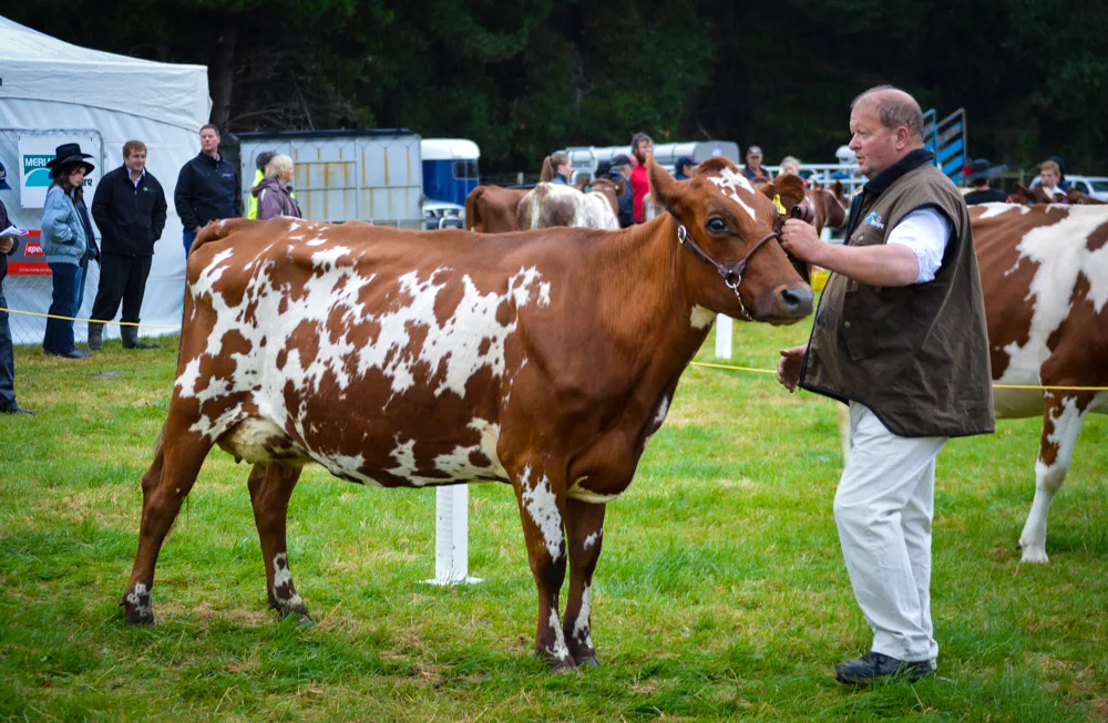 Southland A&P Show - Southland, New Zealand - Credit Great South (7)