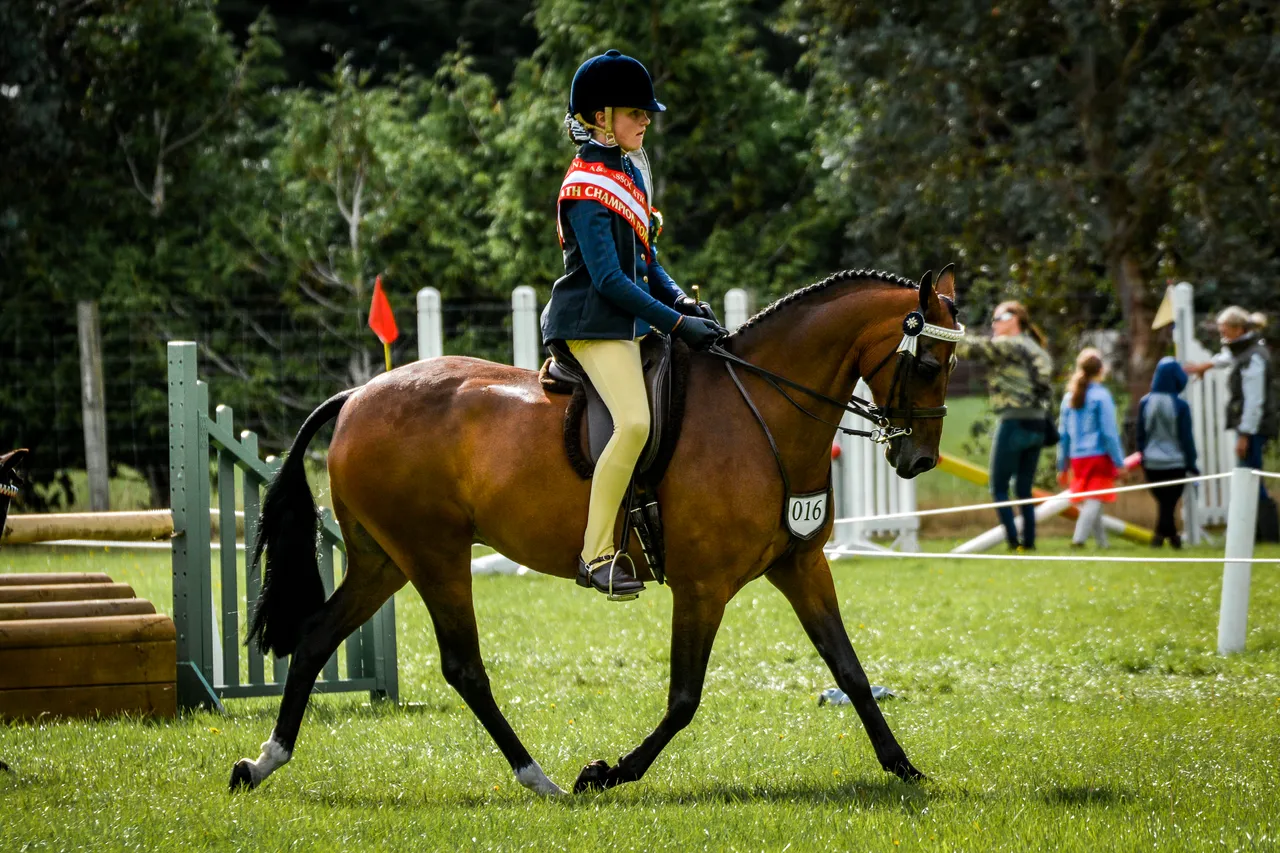 Southland A&P Show - Southland, New Zealand - Credit Great South (3)