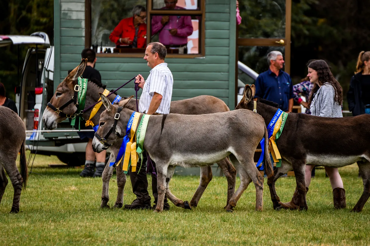 Southland A&P Show - Southland, New Zealand - Credit Great South (1)