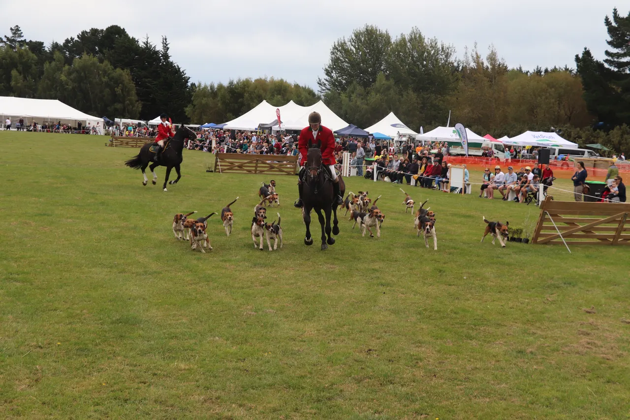 Southland A&P Show - Southland, New Zealand - Credit Great South (2)