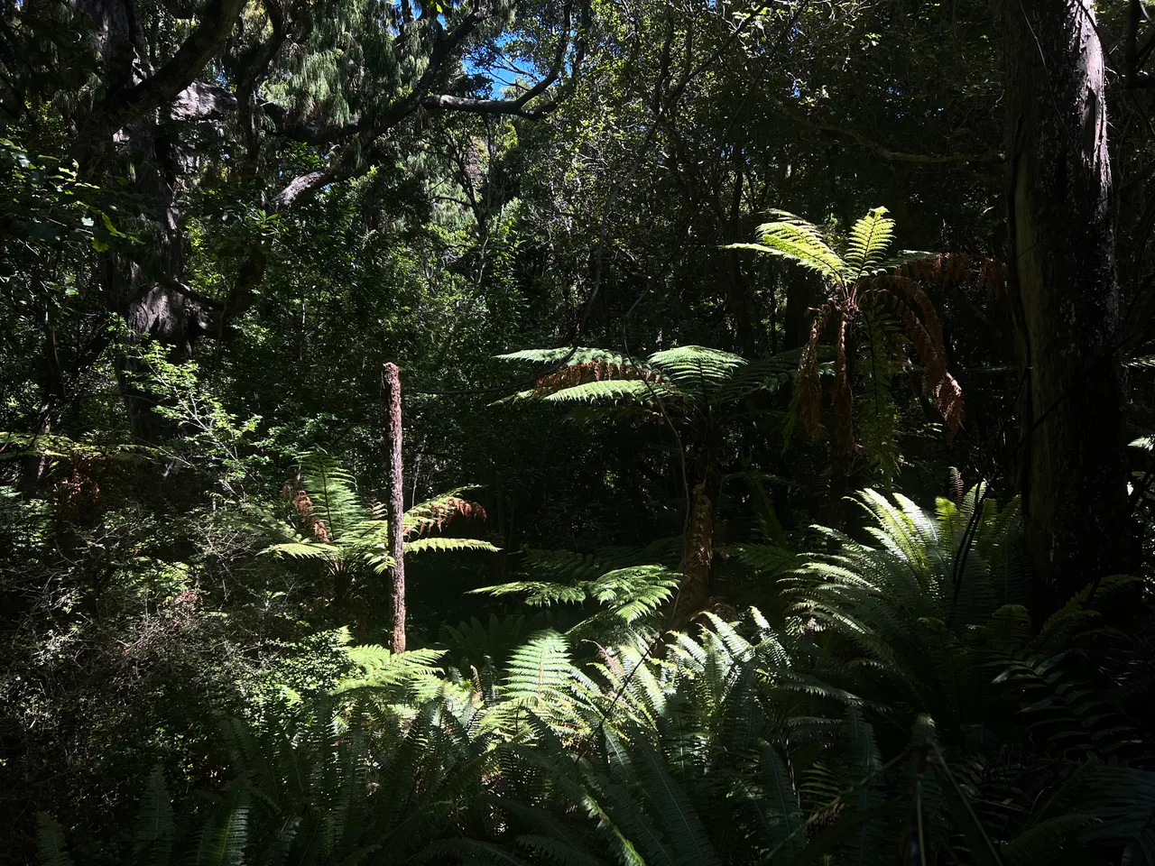 Ulva Island - Southland, New Zealand - Credit Great South (39)