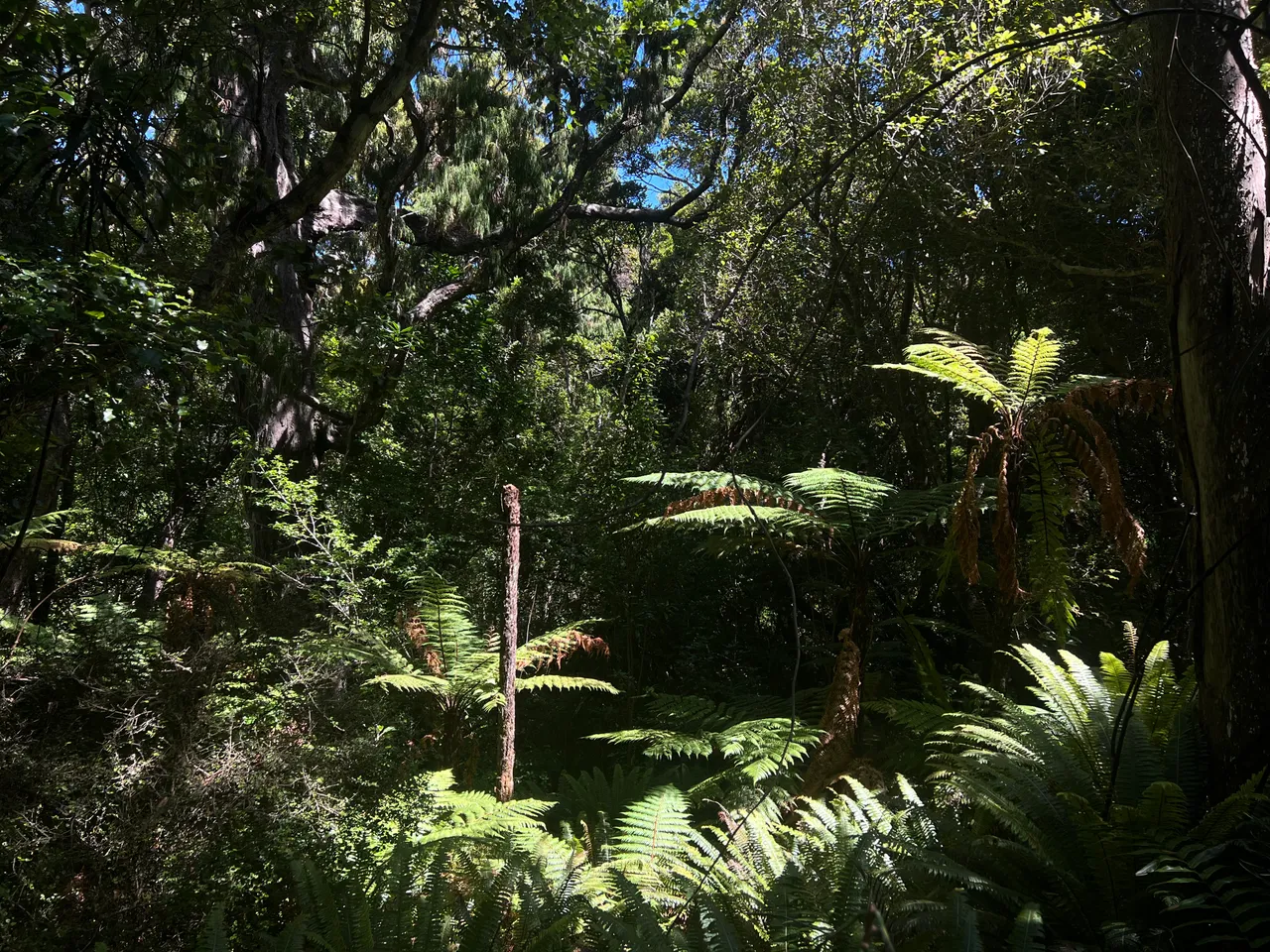 Ulva Island - Southland, New Zealand - Credit Great South (36)