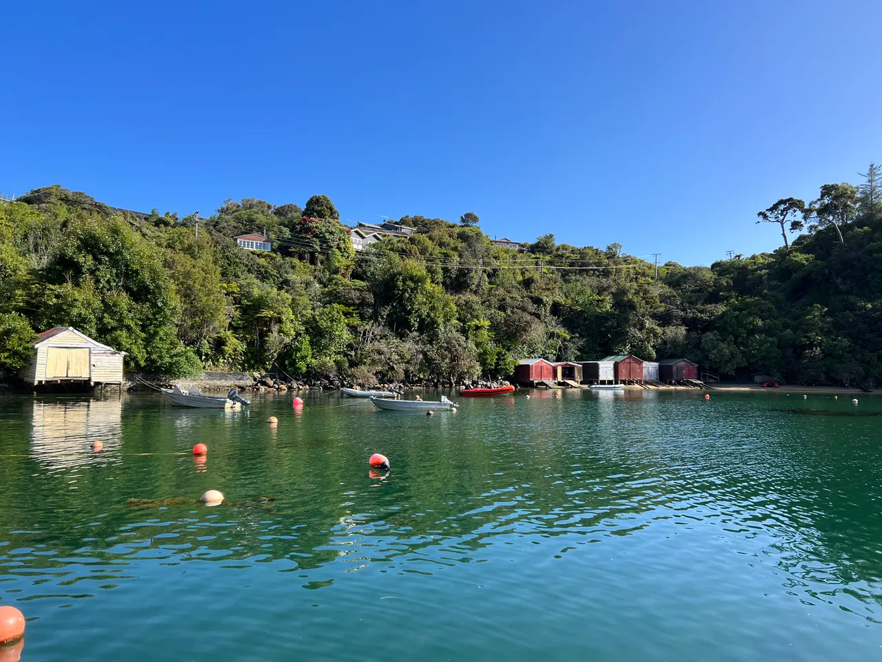Ulva Island - Southland, New Zealand - Credit Great South (81)