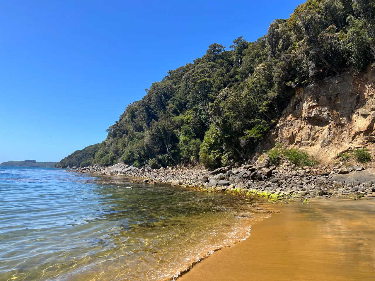 Ulva Island - Southland, New Zealand - Credit Great South (44)