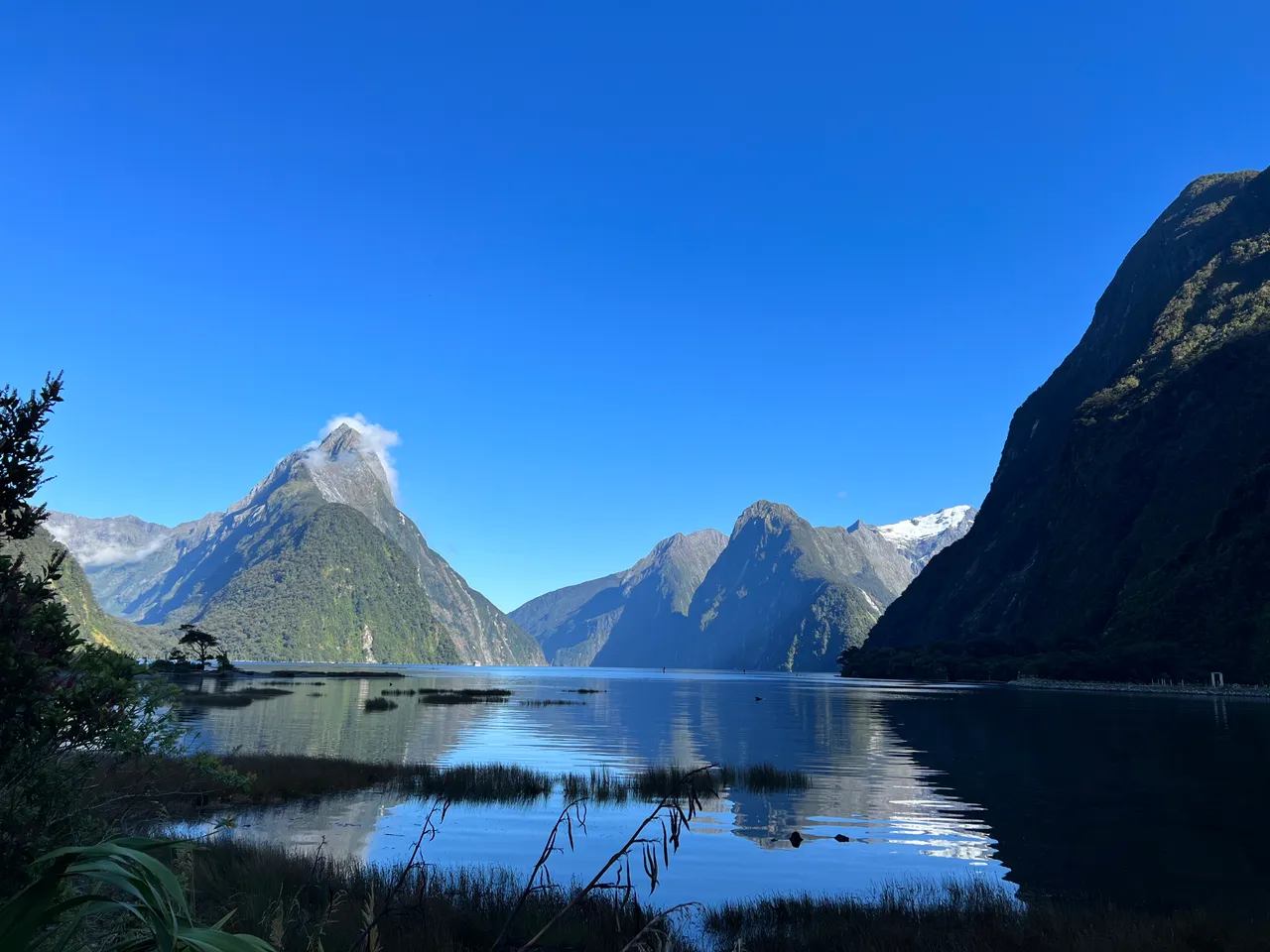 Milford Sound - Southland, New Zealand - Credit Great South (9)
