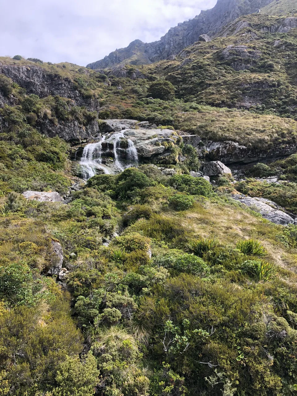 Routeburn Track - Southland, New Zealand - Credit Great South (5)