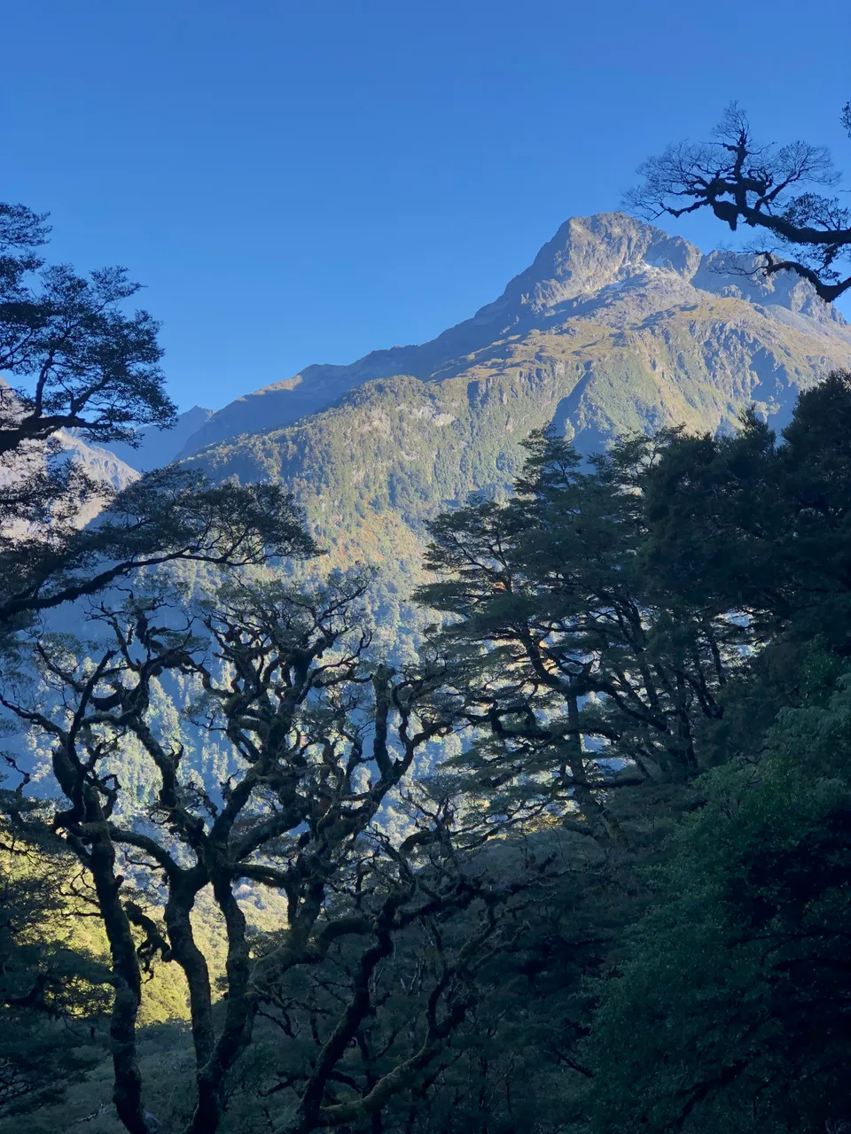 Routeburn Track - Southland, New Zealand - Credit Great South (37)