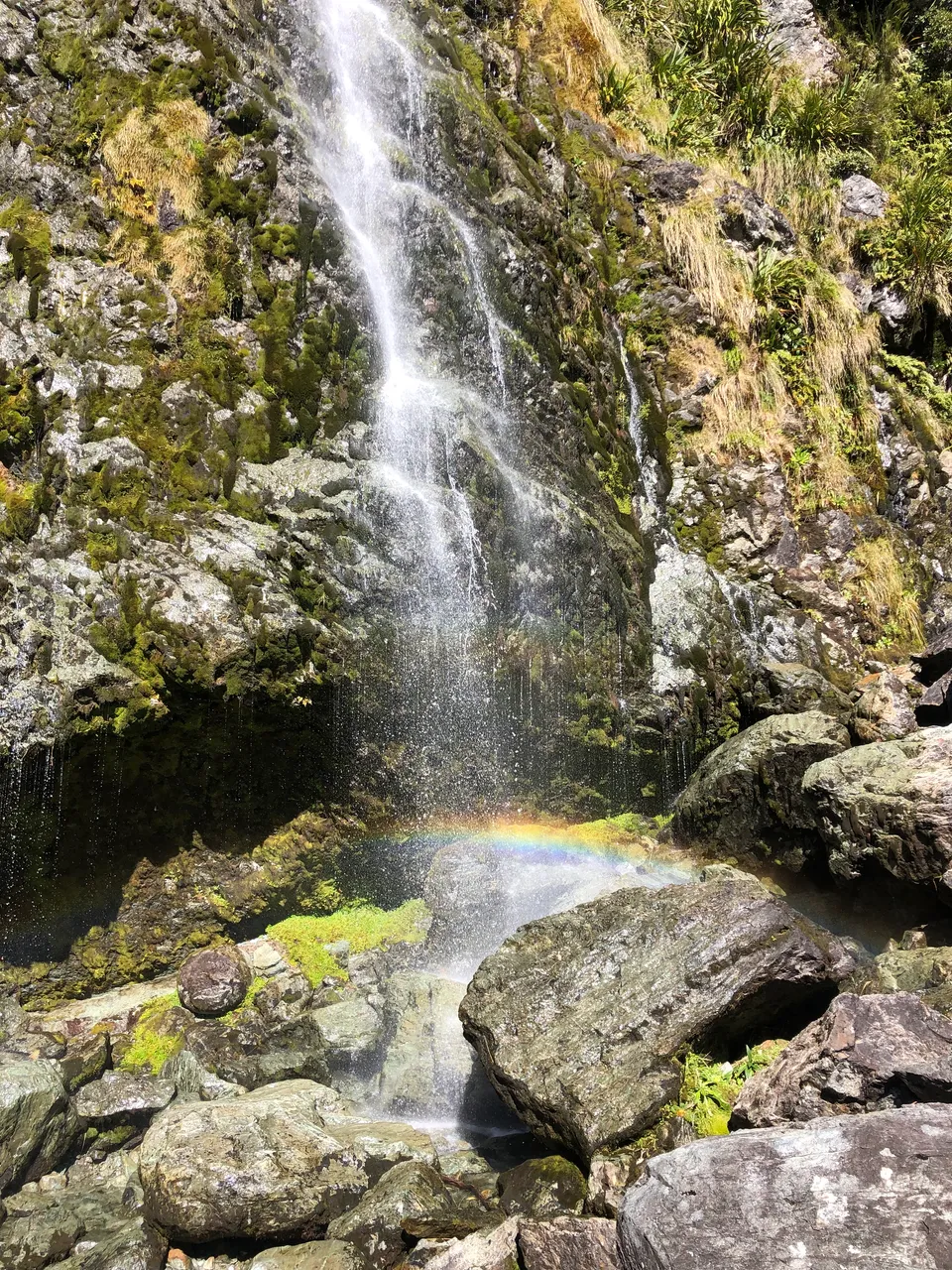 Routeburn Track - Southland, New Zealand - Credit Great South (33)