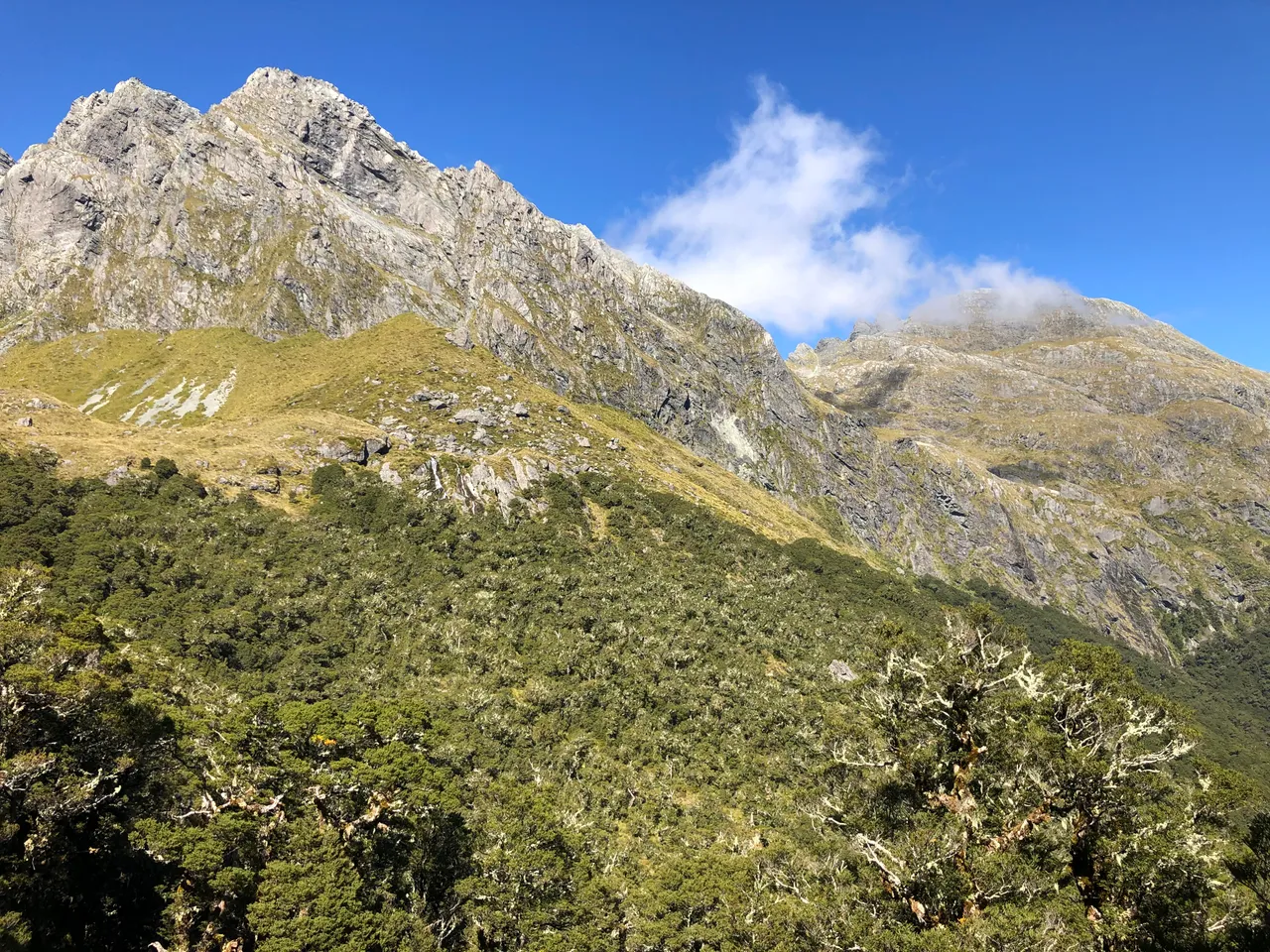 Routeburn Track - Southland, New Zealand - Credit Great South (31)