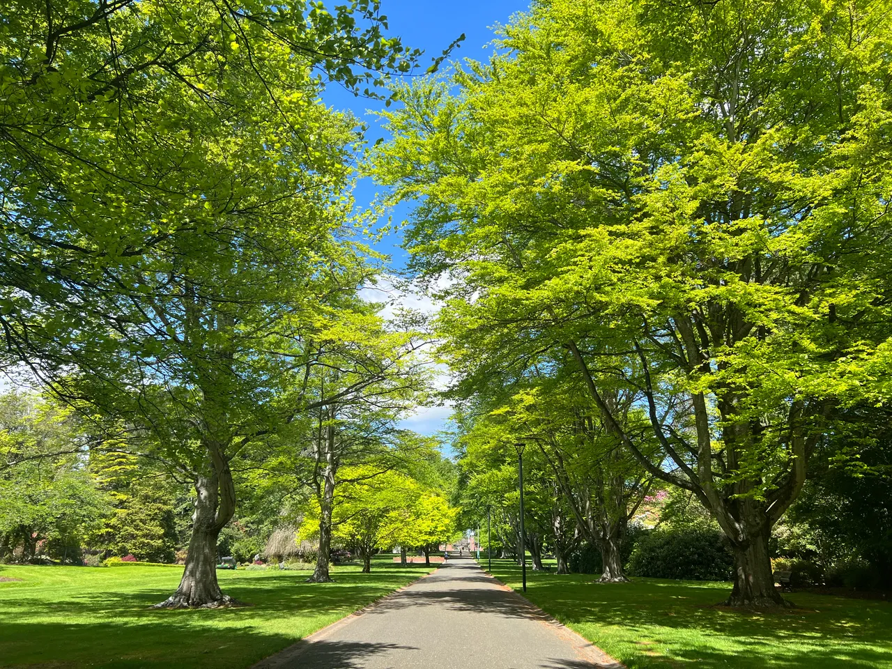 Queens Park - Southland, New Zealand - Credit Great South (3)
