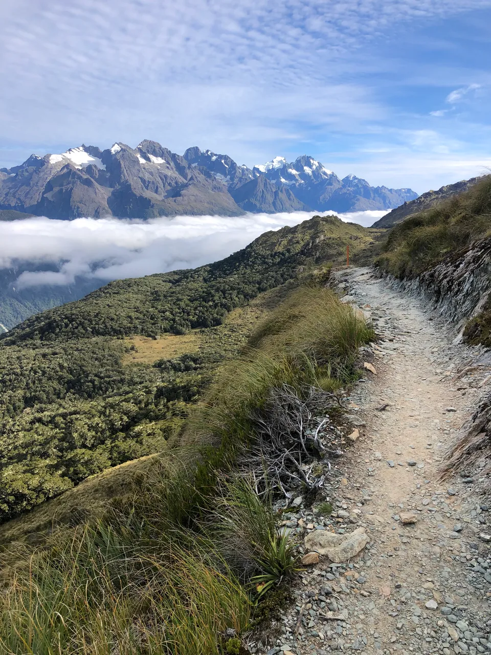 Routeburn Track - Southland, New Zealand - Credit Great South (15)