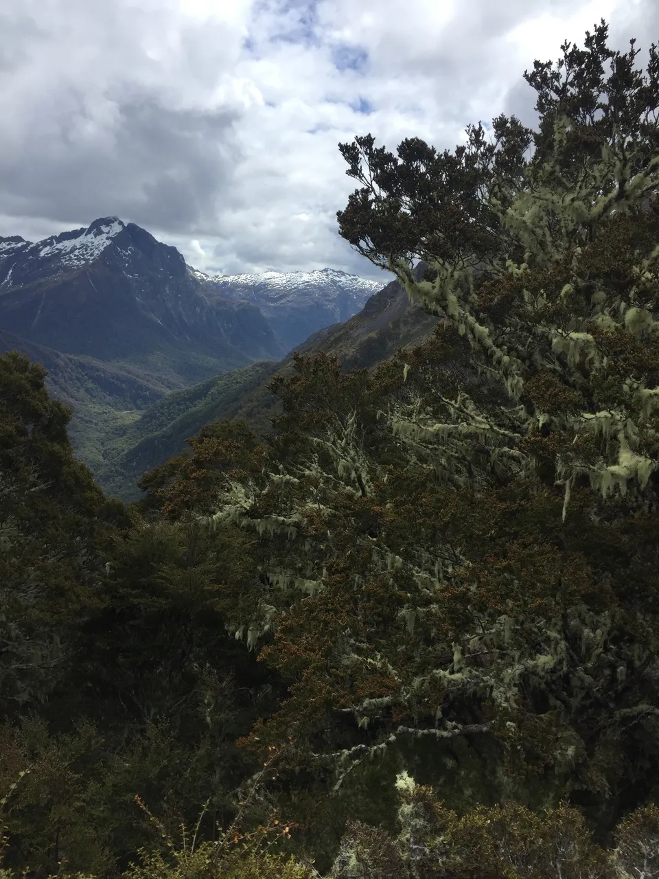 Kepler Track - Southland, New Zealand - Credit Great South (4)