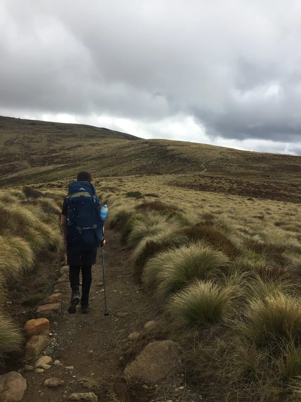 Kepler Track - Southland, New Zealand - Credit Great South (23)