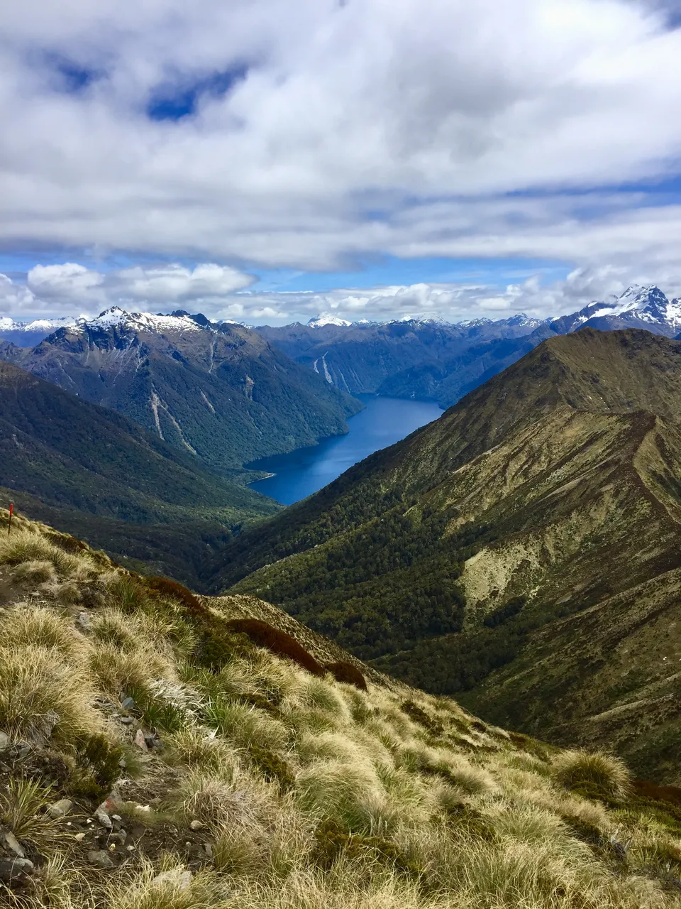 Kepler Track - Southland, New Zealand - Credit Great South (10)