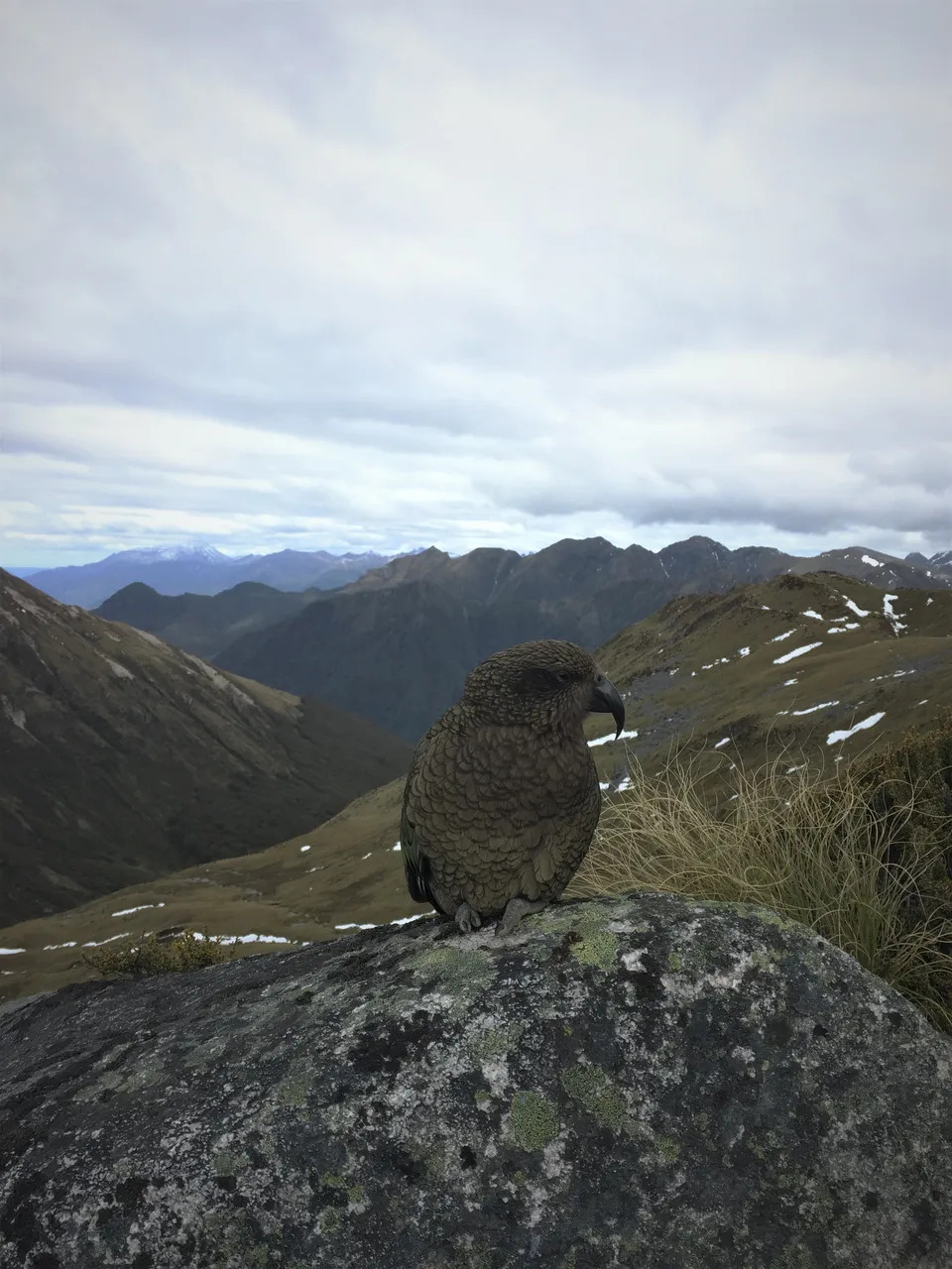 Kepler Track - Southland, New Zealand - Credit Great South (6)