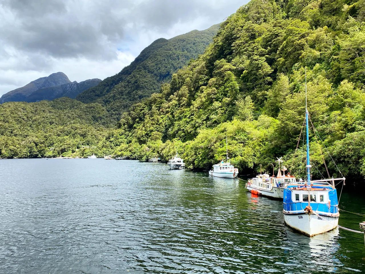 Doubtful Sound - Southland, New Zealand - Credit Tim Roxborogh (4)
