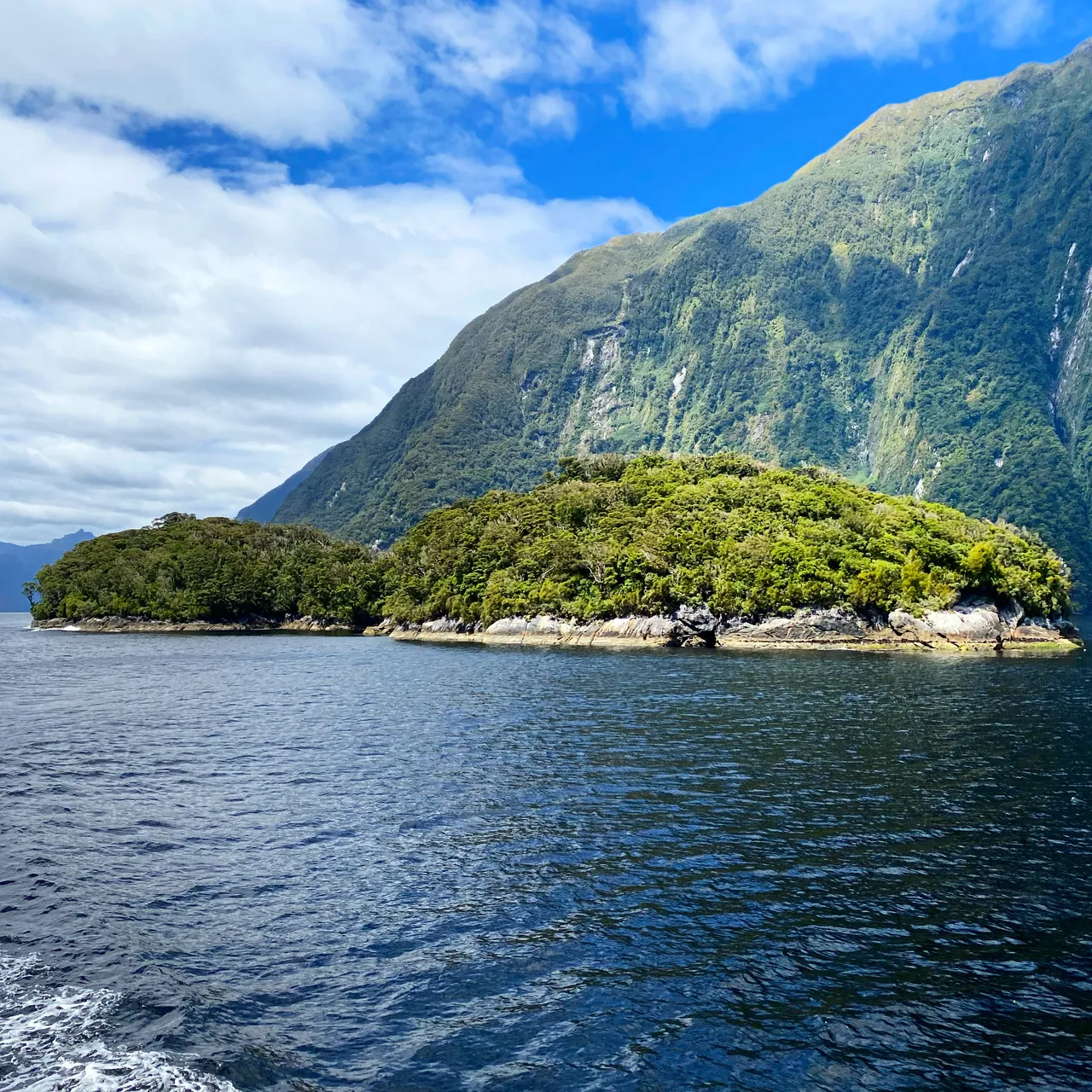 Doubtful Sound - Southland, New Zealand - Credit Tim Roxborogh (8)